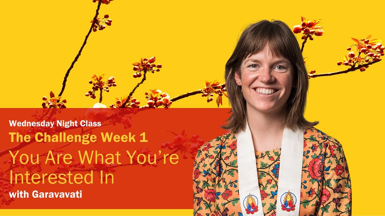 The Challenge Week 1: You Are What You’re Interested In | Garavavati