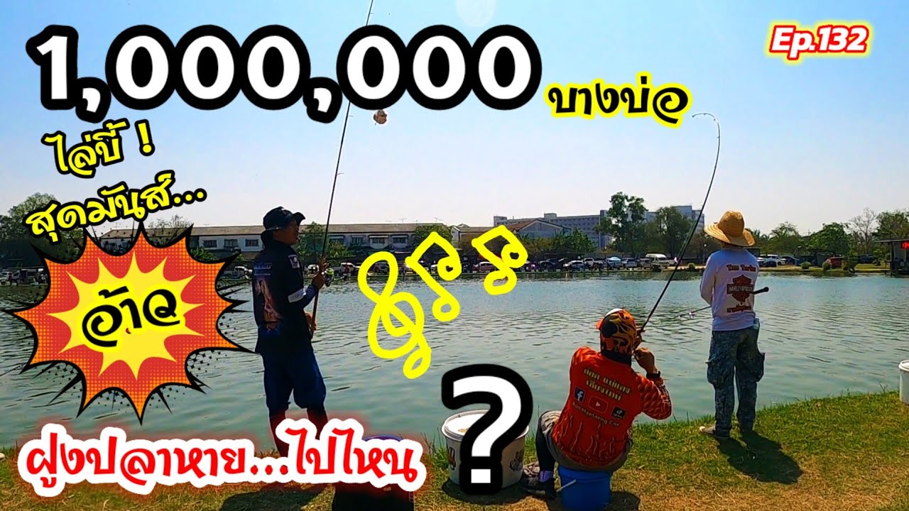 สู้ 1,000,000 บางบ่อ ไล่บี้...สุดมันส์! อ้าว...ฝูงปลา...หายไปไหน?  #สวายแข่ง #แข่งตกปลาสวาย