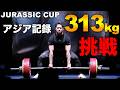 デッドリフト313kg挑戦‼︎ジュラシックカップアジア記録チャレンジ‼︎