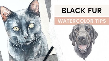 Black Fur Watercolor Painting Tips | Pet Portrait Tips