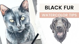 Black Fur Watercolor Painting Tips | Pet Portrait Tips