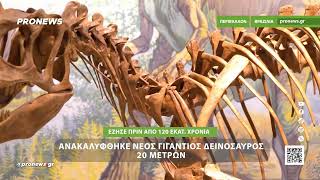 Βραζιλία: Ανακαλύφθηκε νέος γιγάντιος δεινόσαυρος 20 μέτρων που έζησε πριν από 120 εκατ. χρόνια