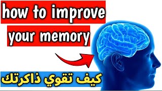 How to improve your memory  The best foods to improve concentration