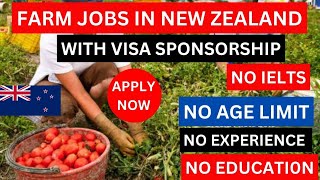 Get Hired For Farm Jobs In New Zealand With Visa Sponsorship, No Ielts Required!
