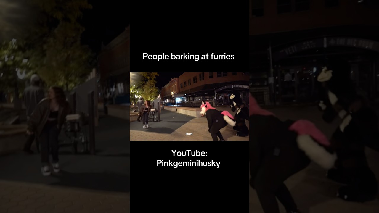 Что бы ты сделал, если бы кто-то начал на тебя лаять? 