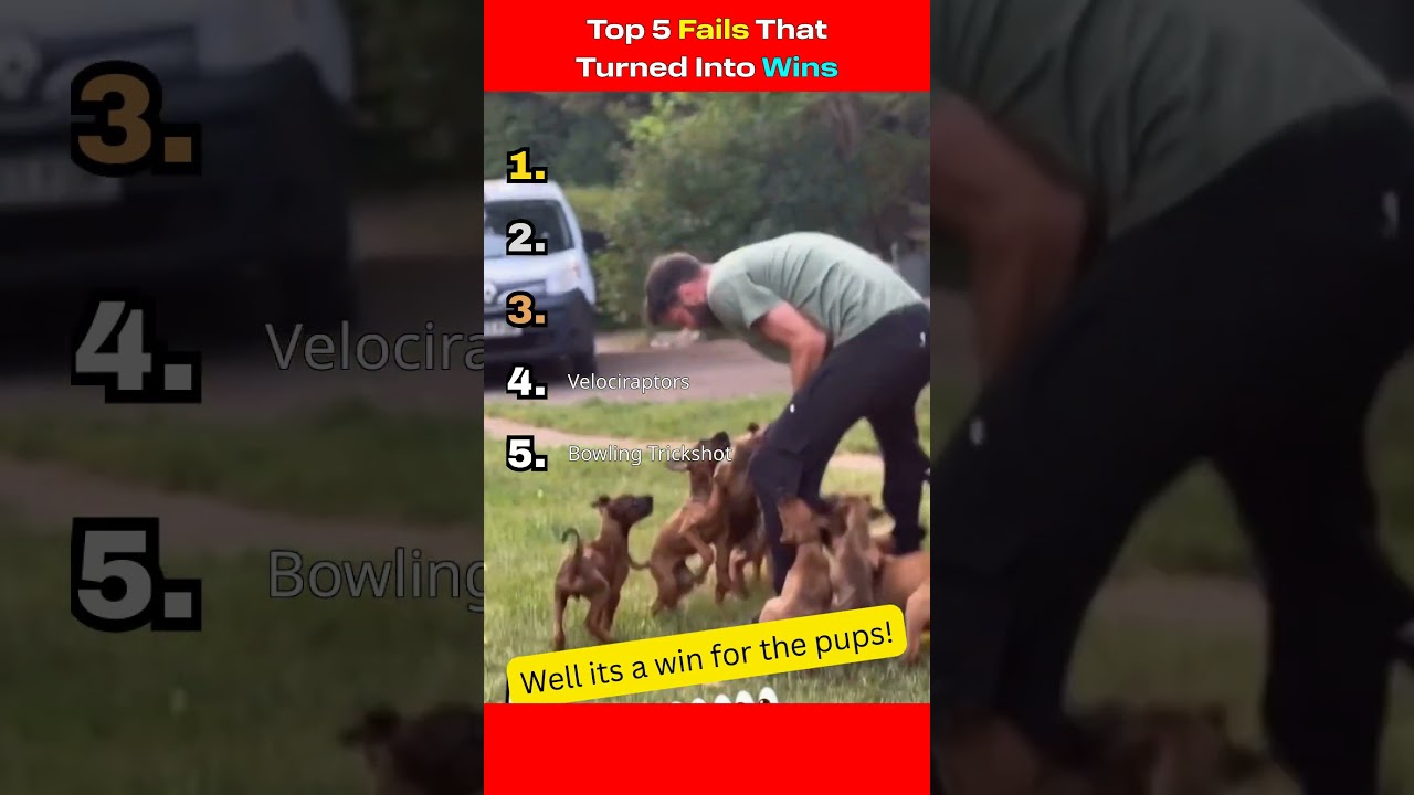 Топ-5 неудач, которые превратились в победы