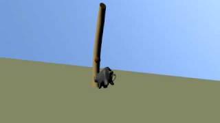 Boar (3D animation)