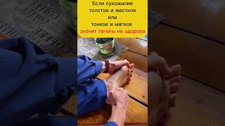 Здоровая печень! Тестируем состояние сухожилий #зож #массаж #упражнения #массаж #топ