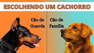 Guia perfeito para escolher o cachorro certo para você screenshot 2