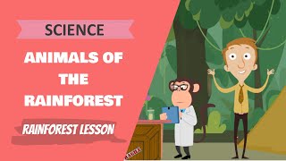 Science - Animals of the Rainforest (Primary School Maths Lesson)