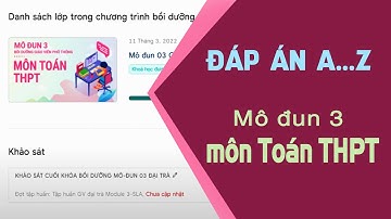 Đáp án đầy đủ Mô đun 3 môn TOÁN Cấp THPT