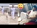 Ram Charan spends time with pet dogs, feeds peacock at home