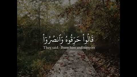 من سورة الأنبياء || حالات واتس اب || مقاطع انستقرام قصيرة || اسلام صبحي ❤️🥺