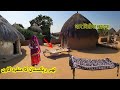 Tribal lifestyle of thar desert sindh  village life of pakistan  living in huts  part1