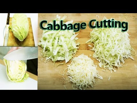 Beginner&rsquo;s Tutorial for Cutting Cabbage || ছুরির সাহায্যে বাধাকপি কাটার সহজ নিয়ম