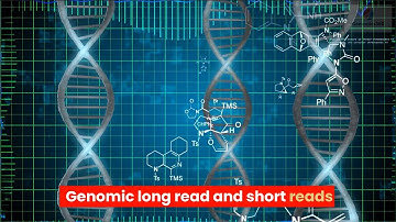 Genomics long read and short reads