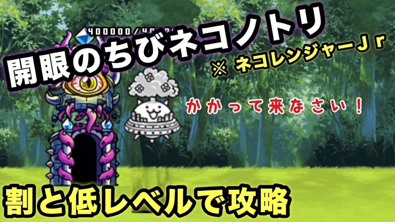 開眼 の ちび ネコノトリ