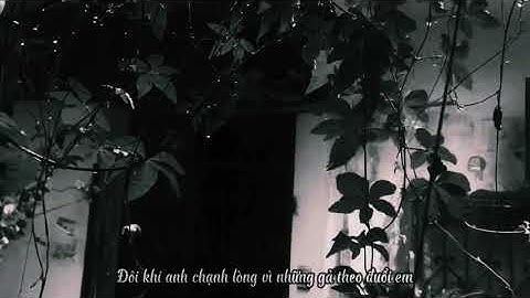 Ngoài cửa sổ là cơn mưa đang đổ chéo... / Vaccine âm nhạc