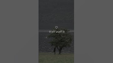 تلاوة خاشعة جميلة بصوت ماهر المعيقلي ارح سمعك ♡ #ماهر_المعيقلي #اكسبلور_فولو