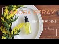 Mimosa Room Spray | 春のミモザのアロマスプレーの作り方