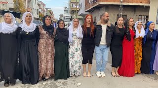 Cida Hızlı Halay 2024 - Oyuncular Süper Oynuyor - Kurdish Wedding - Koma Berçem