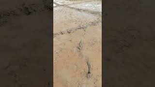 sonon ma molo parsaba