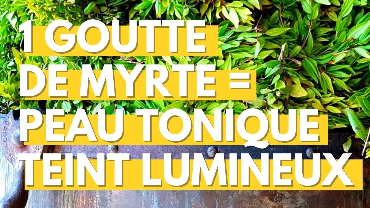 Le Myrte vert, l’allié des peaux fatiguées, réactives, sèches, matures.