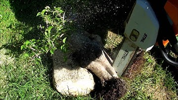 SandevBonsai - Technics - Correcting reverse taper