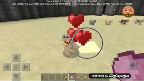 Minecraft Beta! Cats And Pandas! Showcase! Part 1