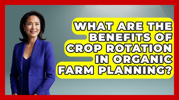 What Are The Benefits Of Crop Rotation In Organic Farm Planning? - The World of Agriculture