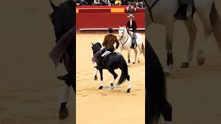 Diego Ventura #guitar  #caballos #sterstallion #horse #toroultra #toros #toromecanico #equestrian