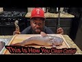 Simple Steps To Skin And Fillet Any Catfish Correctly