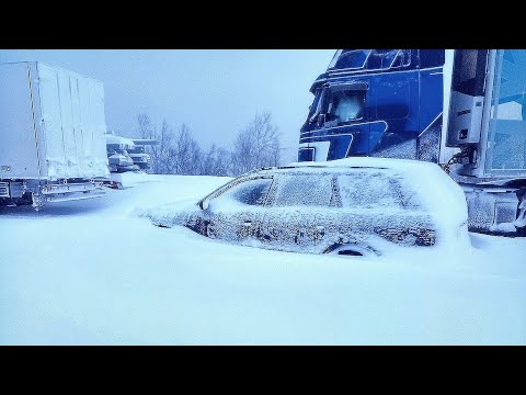 Video: Võõraste sissetung aeda. Miks on meile toodud taimeliigid ohtlikud?