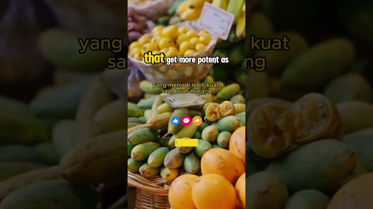 The world’s smelliest fruit – durian  