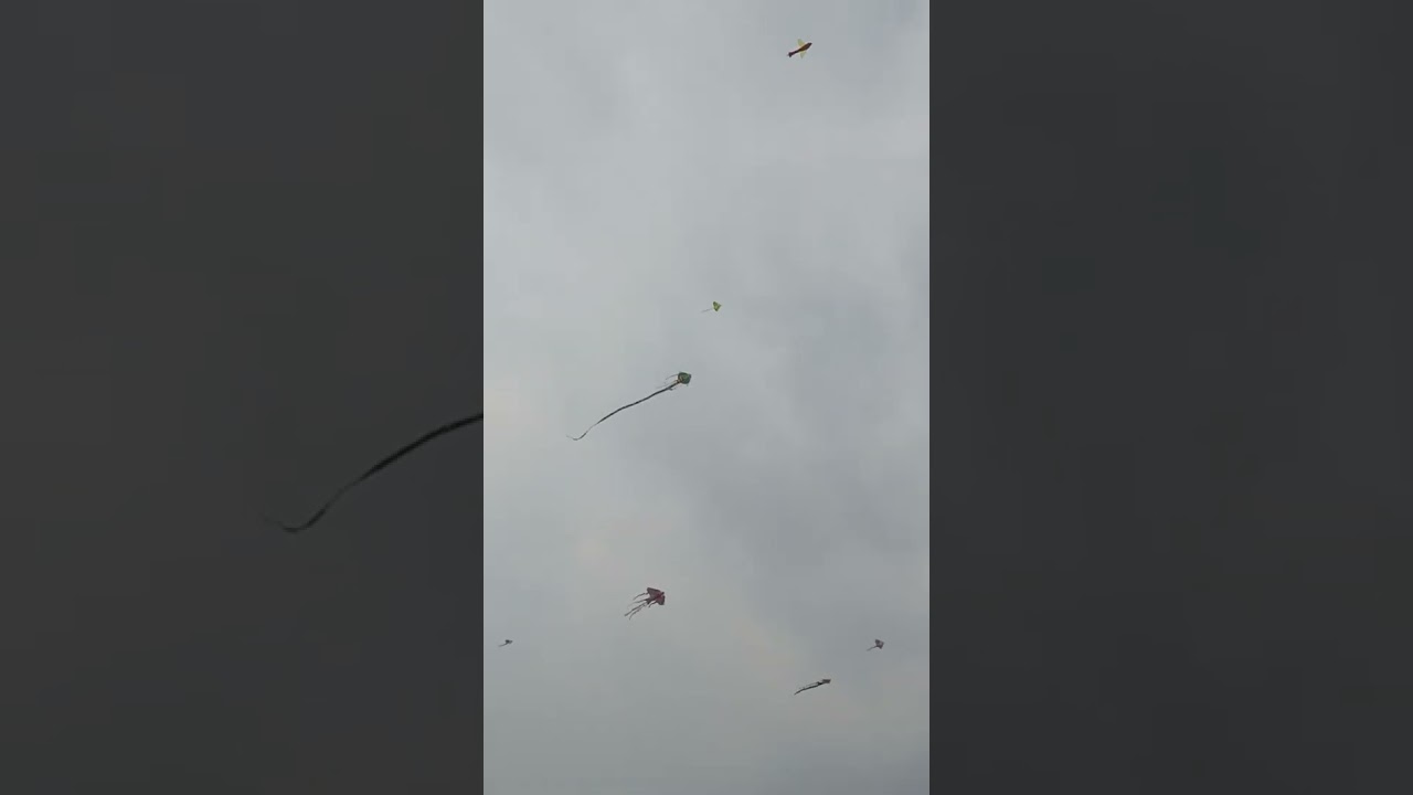 kite season: part 2 