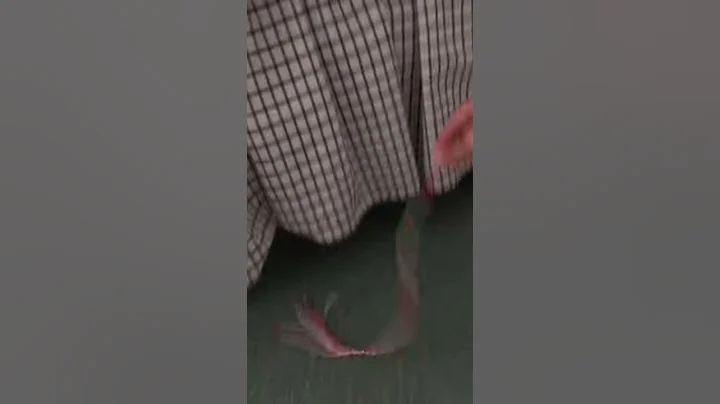 Sneaky Thomas the kitty