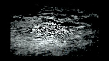 GHOSTALICE - 【in a fragile state of mind.】MV