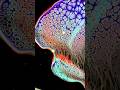Acrylic Pouring Swipe Technique Full video(167) on my channel #shorts #fluidart #art #acrylicswipe