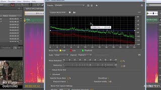 Advanced Noise Reduction in Audition