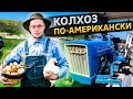 Настоящая американская ферма / Что я решил про обучение на врача / Свич 2.33