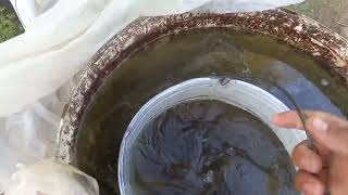 видео: эм бактерия қалай қолданамыз Не үшін керек көріңіздер 4.06.2022 картинка: эм бактерия қалай қолданамыз Не үшін керек көріңіздер 4.06.2022