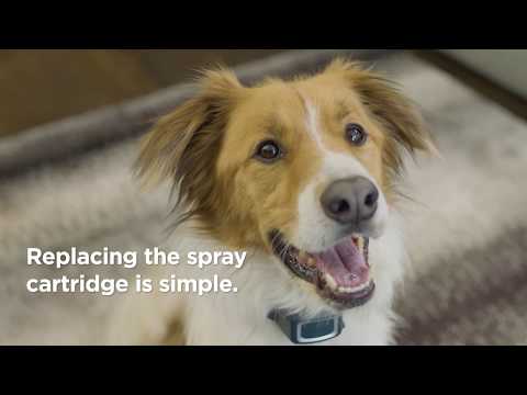 How to replace the cartridge in the PetSafe® Spray Collars