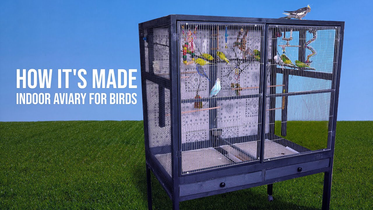 How to Build Indoor Aviary for Budgies - YouTube