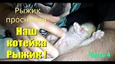 Мир чудесных путешествий