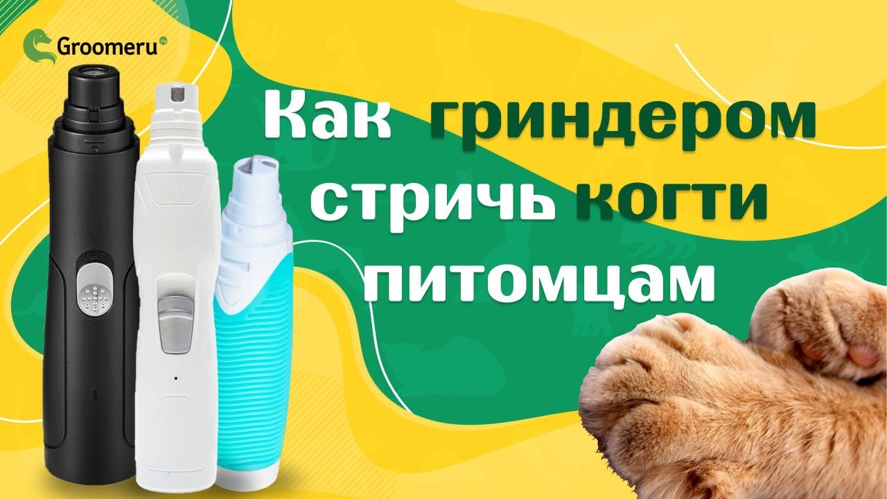 Grodo Как гриндером стричь когти питомцам, как он помогает в стрижке и ...