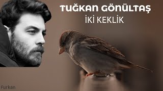 Elraenn - İki Keklik (Ai Cover)