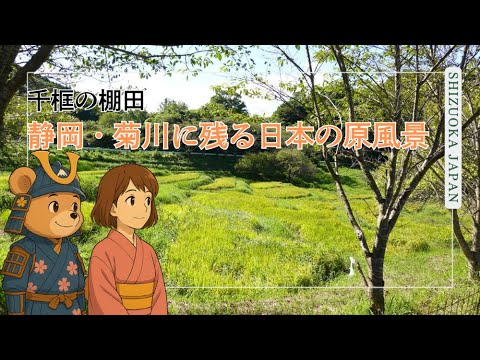 「千框の棚田｜静岡・菊川に残る日本の原風景」