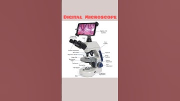 What are the types of microscopes? #science #shortsvideo #trending #world #shorts #micrograph