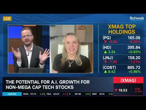 "Time to Explore Allocating" Outside Mag 7