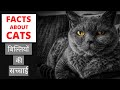     top 20 interesting facts about cats  in hindi